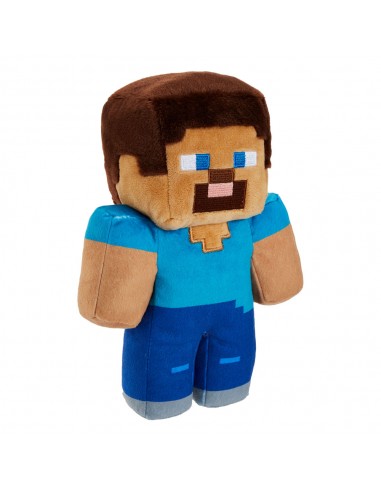 Steve. Minecraft.