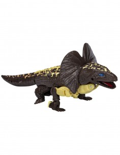 (OUTLET) Iguanus.... 2