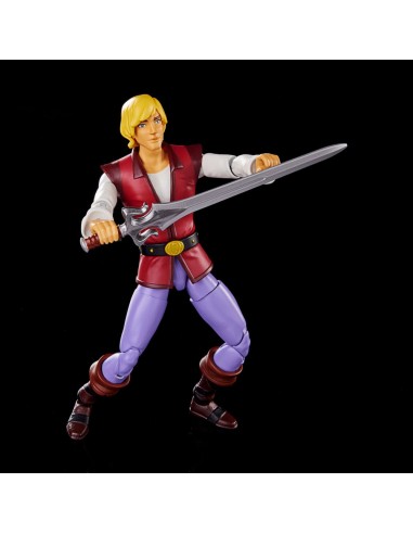Prince Adam. Masters of the Universe...