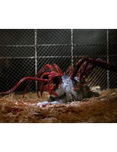 (OUTLET) Dog Creature... 2