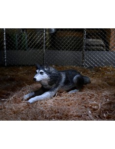 (OUTLET) Dog Creature...