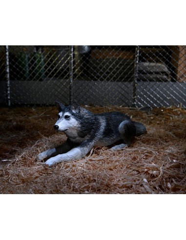 (OUTLET) Dog Creature Ultimate...