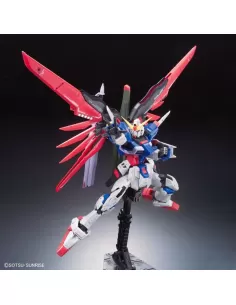 RG Destiny Gundam Z.A.F.T.... 2