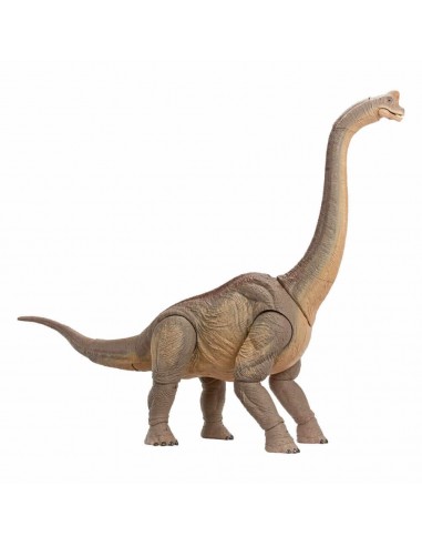 Brachiosaurus. Hammon Collection....