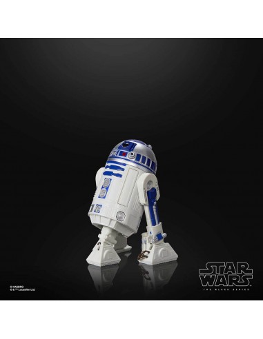 R2-D2 (Artoo-Detoo). The Black...