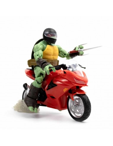 Raphael with Motorcycle (IDW Comics)....