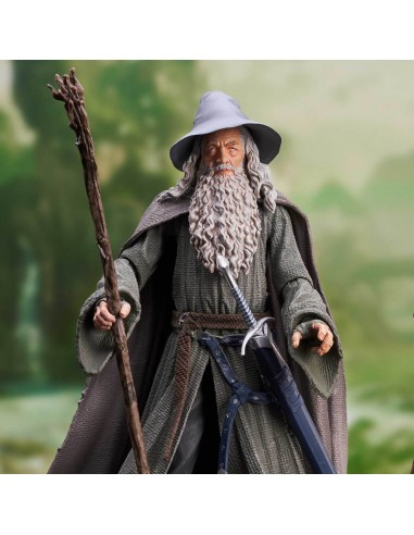 Gandalf. The Lord of the Rings.