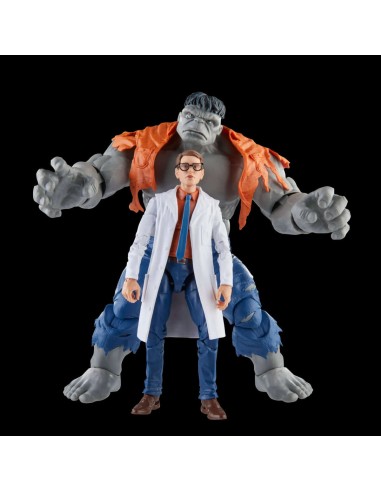 Gray Hulk and Dr. Bruce Banner....