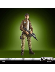 Captain Cassian Andor. The...