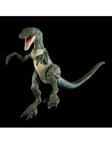 Velociraptor Blue. Hammon Collection....