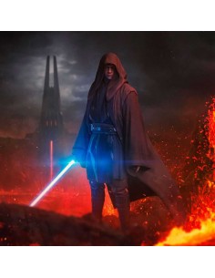 Anakin Skywalker 1/4....
