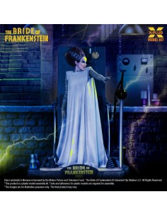 The Bride of Frankenstein...