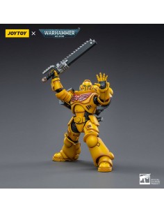 Imperial Fists Intercessor... 2