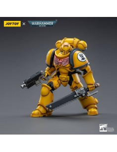 Imperial Fists Intercessor...
