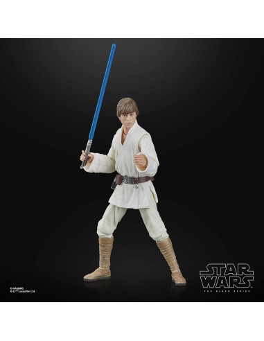 Luke Skywalker. The Black Series....
