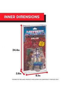 Masters of the Unverse Case... 2