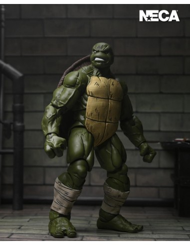 Battle-Damaged Last Ronin. Teenage...
