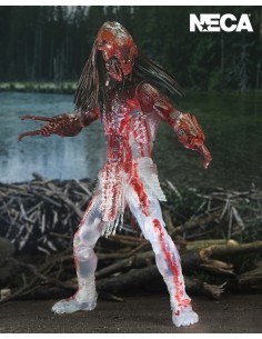 (OUTLET) Bear Blood Feral... 2