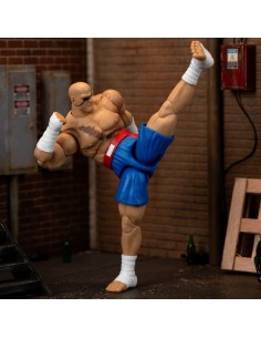 Sagat. Street Fighter II 2