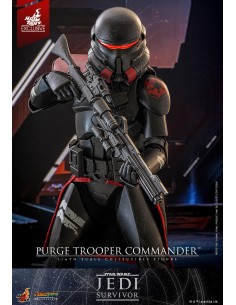 Purge Trooper Commander... 2