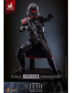 Purge Trooper Commander...