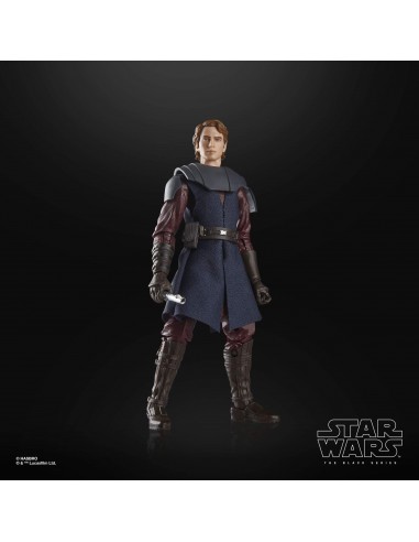 Anakin Skywalker. The Black Series....