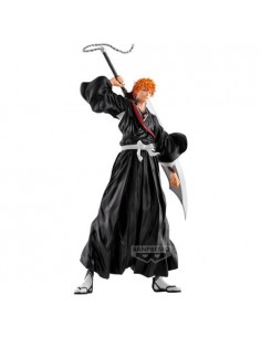 Kurosaki Ichigo...