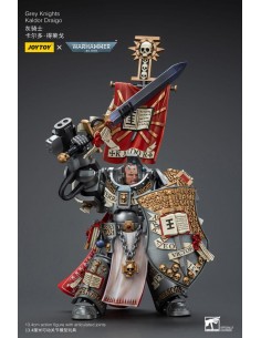 Grey Knights Kaldor Draigo.... 2