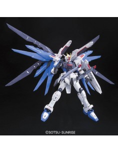 RG 1/144 Gundam Strike... 2