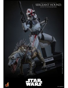 Sergeant Hound 1/6. Star...