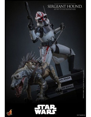 Sergeant Hound 1/6. Star Wars: The...