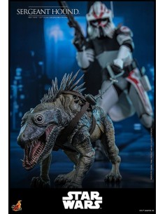Sergeant Hound 1/6. Star... 2