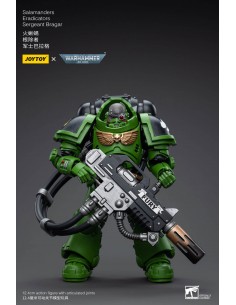 Salamanders Eradicators...