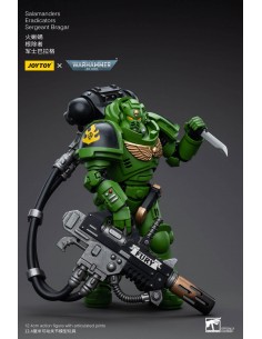 Salamanders Eradicators... 2