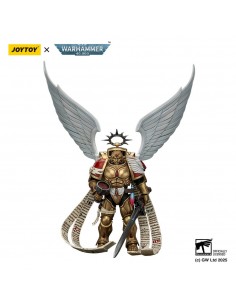 Blood Angels The Sanguinor...