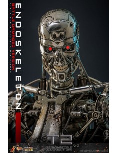 Endoskeleton (Battle... 2