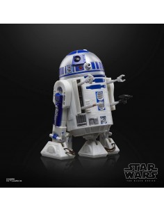 R2-D2. The Black Series.... 2