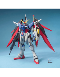 MG 1/100 ZGMF-X42S Destiny...