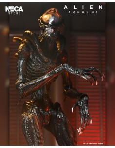 Ultimate Scorched... 2