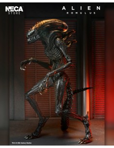 Ultimate Scorched...