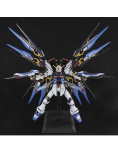 PG 1/60 Strike Freedom... 2
