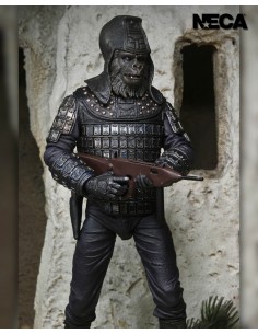 Legacy Series General...
