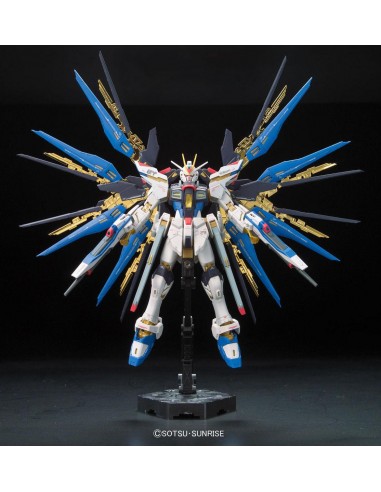 RG 1/144 Gundam Strike Freedom...