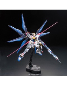 RG 1/144 Gundam Strike... 2