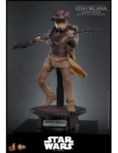 Leia Organa (Boushh... 2