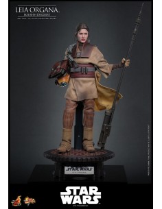 Leia Organa (Boushh...
