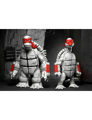 Black and White First Turtles....