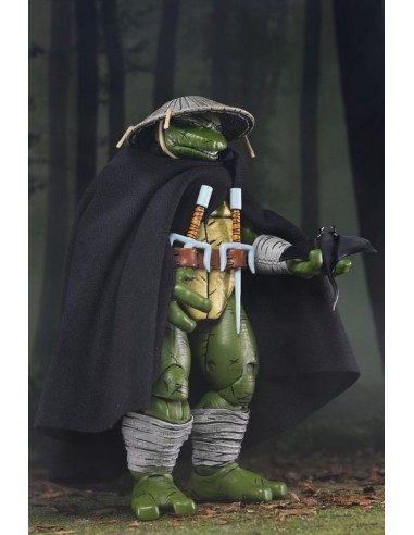 Old Man Raphael. Teenage Mutant Ninja...