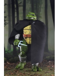 Old Man Raphael. Teenage... 2
