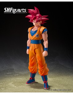 Super Saiyan God Son Goku...